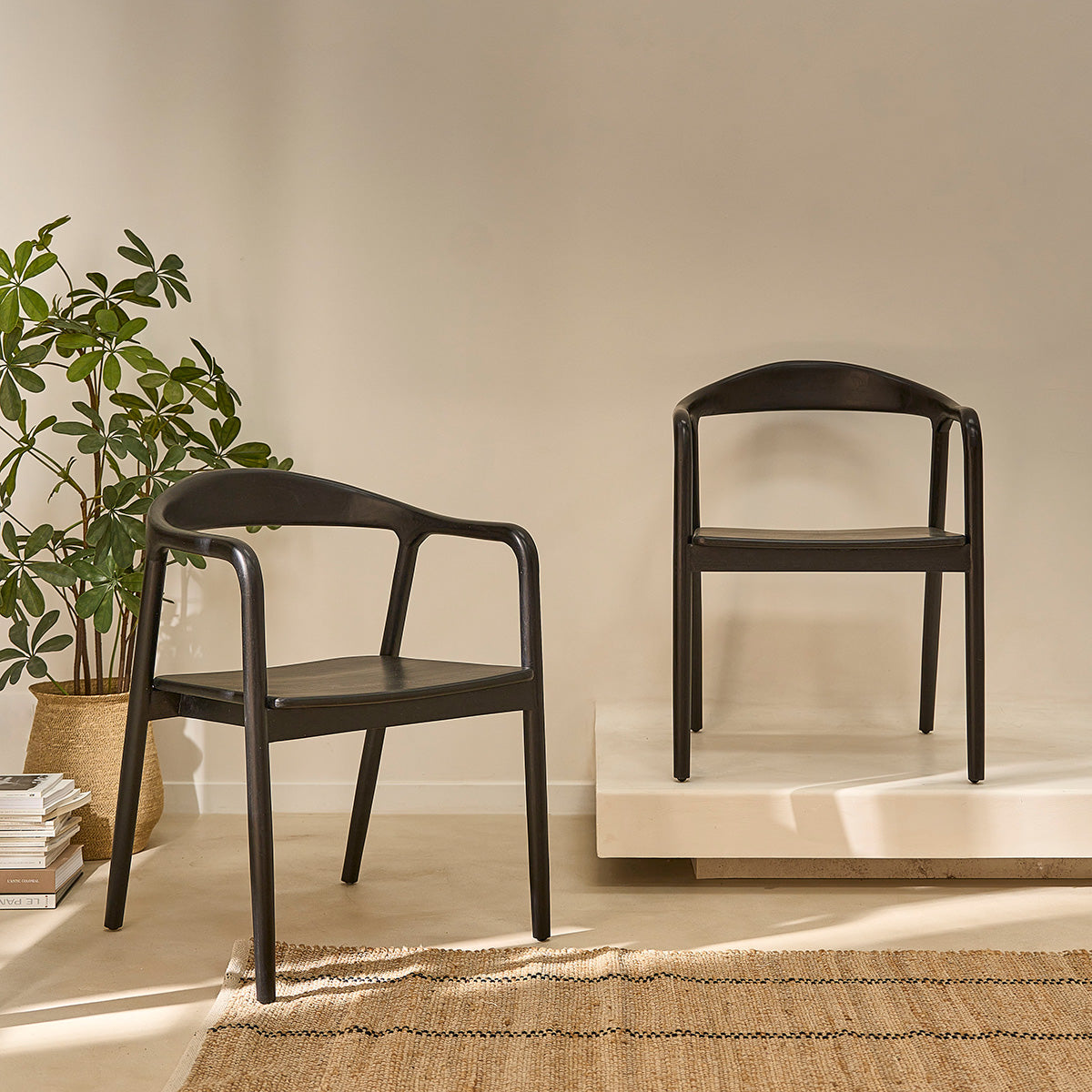 1811B-lot_de_2_chaises_en_teck_massif_noire-01.jpg
