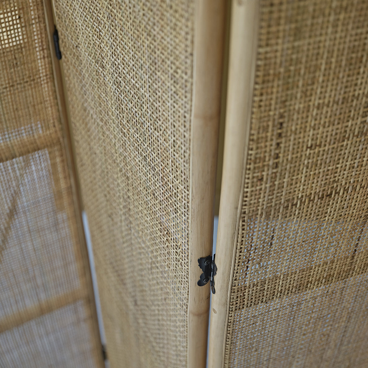 JANE - Wandschirm aus Rattan und Rohrgeflecht 4 Tafeln