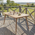 24-table_de_jardin_en_teck_massif_4_6_pers-01.jpg